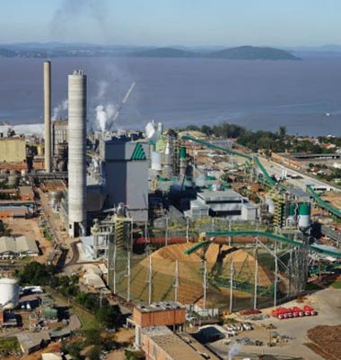 Visitas nas áreas de Produção de Celulose da Celulose Riograndense